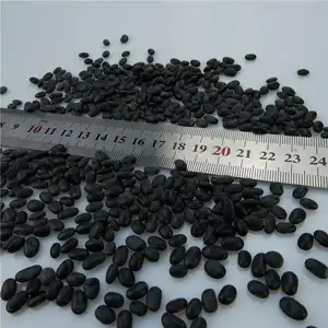 중국어 새로운 작물 렌즈 콩