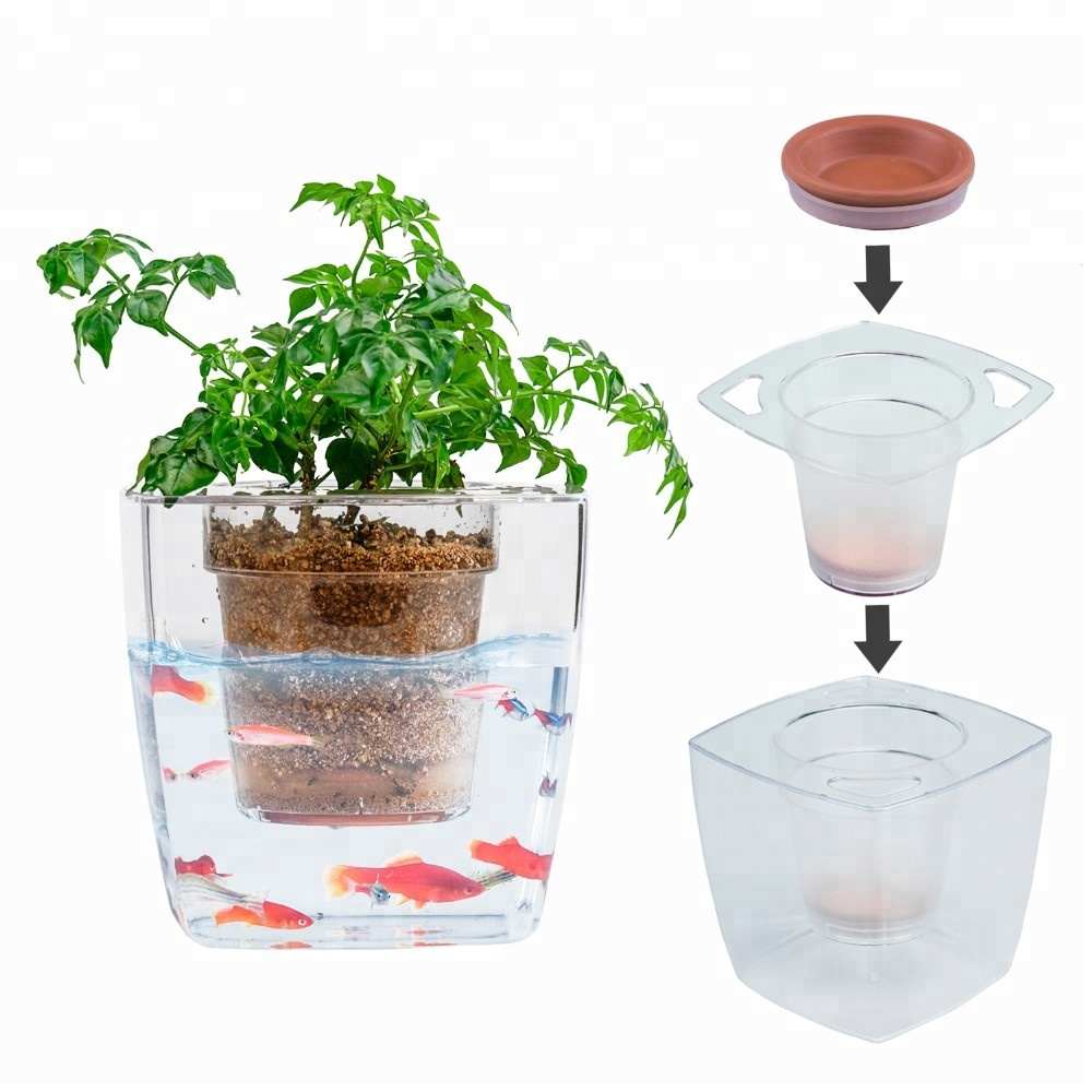 Saksı balık tankı pot ekici ev hidroponik hollandalı pot