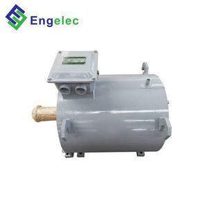 12V-380V AC/DC 100W-100KW 30rpm-6000rpm Low Rpm Wind Generator Magnet Motor Free Energy - Product Image 6