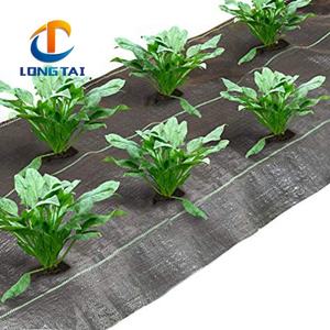 Tela <span class=keywords><strong>de</strong></span> paisaje <span class=keywords><strong>de</strong></span> alta resistencia, cubierta <span class=keywords><strong>de</strong></span> suelo <span class=keywords><strong>de</strong></span> invernadero, PP, barrera <span class=keywords><strong>de</strong></span> plástico para malas hierbas, tela <span class=keywords><strong>de</strong></span> paisaje, estera <span class=keywords><strong>de</strong></span> malas hierbas negra con línea - Product Image 1