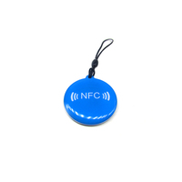 Porte-clés personnalisé avec code QR imprimé et URL programmable, étiquette d'identification pour animaux de compagnie en époxy RFID NFC