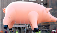 Ballon géant gonflable à l'hélium de type ballon, publicité, cochon volant gonflable rose