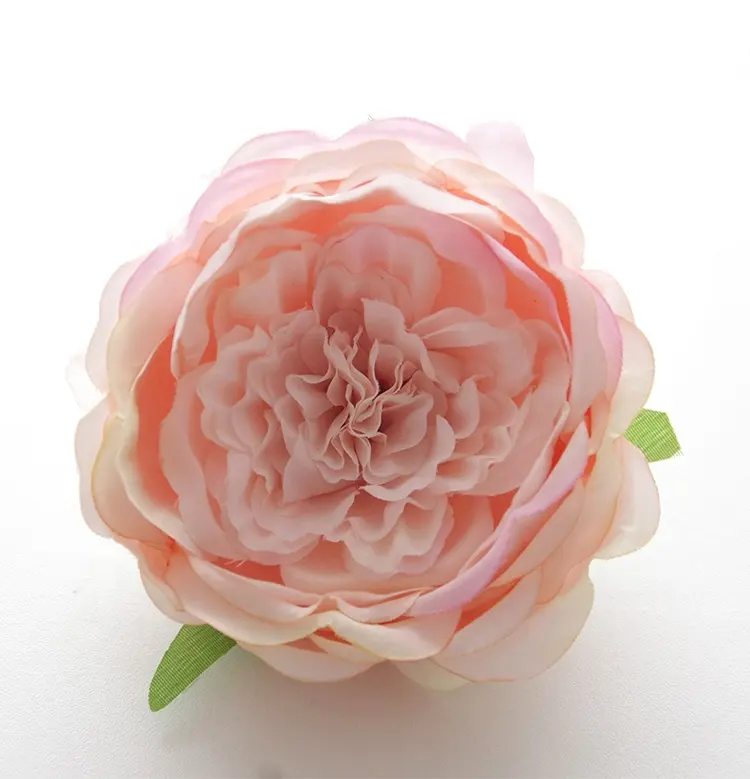 Dekorasi Pernikahan Sutra Berkualitas Tinggi Bunga Mawar Austin Cantik
