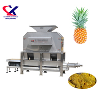 Citrus Oranje Juicer Machine Industriële Fruit Sapcentrifuge Sinaasappelsap Extraheren Machine