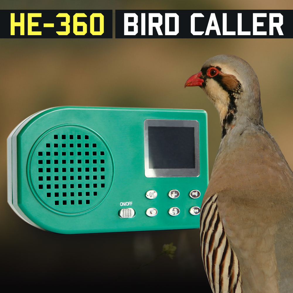 Mp3 приманка для птиц