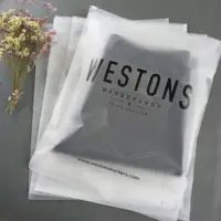 Custom Matte Print Pe ZipperロックPoly Zipper Lock Frosted Plastic Packaging Bag For Clothes