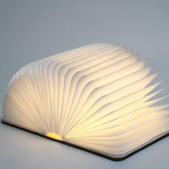 Led Book Lamp Factory Warm Light LED Mini Book Lamp With USB Rechargeable