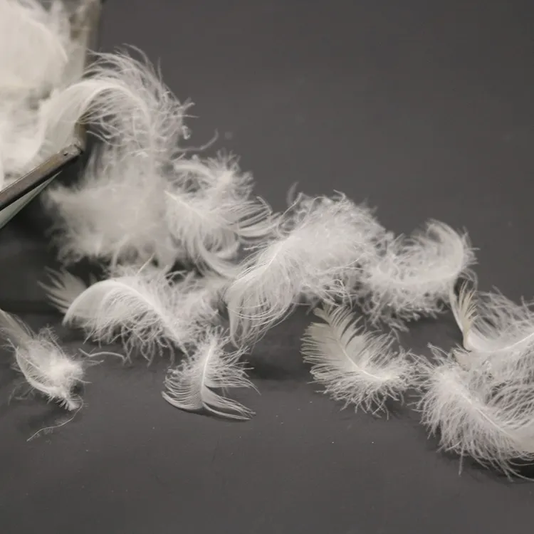 Pluma de plumas de pato blanco suave y cálido, Pluma lavable a máquina, plumas de plumón de pato para Textiles para el hogar, precio de fábrica