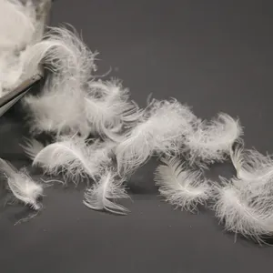 Fabrik preis Weiche warm weiße Enten feder Pluma Maschinen wasch bare Daunen-Daunen feder für Heim textilien