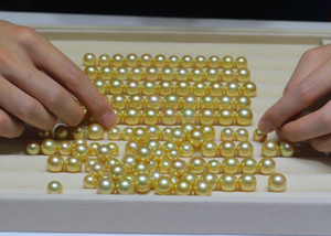 ไข่มุกใต้ธรรมชาติขนาดใหญ่เกรด3A ขนาด10-11มม. สีทองทองไข่มุกทะเลแท้จากธรรมชาติ - Product Image 4