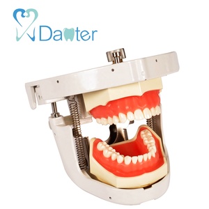 Migliore Qualità Dentale Articolatore Dentale <span class=keywords><strong>Phantom</strong></span> Testa di Manichino per la Vendita - Product Image 2