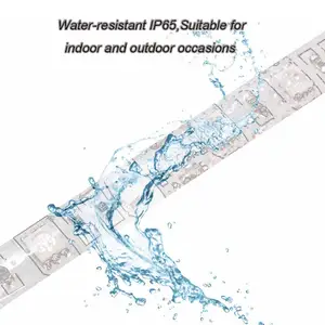 China Supplier 12V 24V waterproof ip68 led rgb strip light tape rope swimming pool led strip lighting