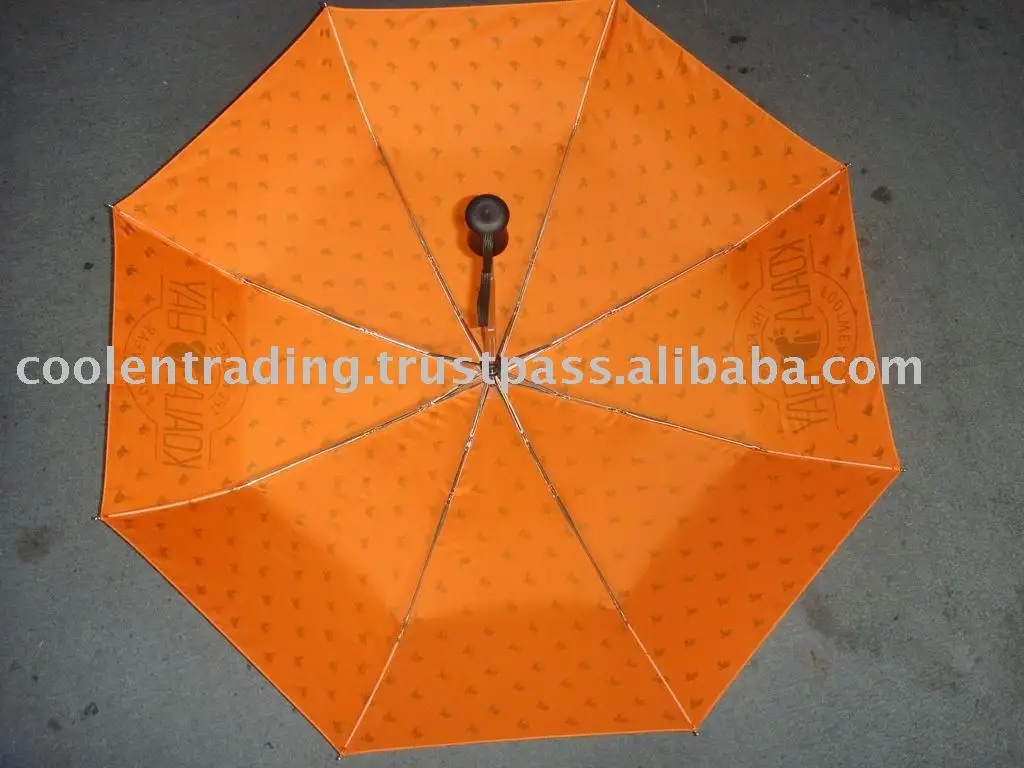 Fashion Folding Nice Umbrella