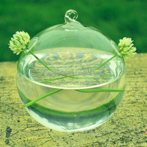 <span class=keywords><strong>Vendita</strong></span> diretta in fabbrica vaso di <span class=keywords><strong>piante</strong></span> da fiore di alta qualità vetro trasparente terrario vaso di vetro idroponico - Product Image 6