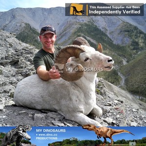 Sculpture réaliste grandeur nature de chèvre <span class=keywords><strong>boer</strong></span> My Dino D63 - Product Image 5