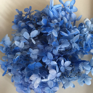 HFlora-Hortensia Multicolor natural a granel para el hogar, boda, tienda en línea, decoración, venta al por mayor - Product Image 4