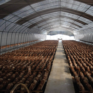 100% Blackout Nhà Kính Ba Lớp Màn Hình Thoáng Khí Cho Các Nhà Máy Nhạy Cảm - Product Image 4