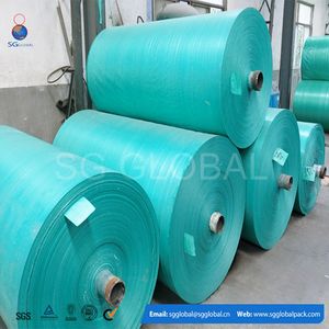 Alibaba de China caliente venta 2.44 m PE recubierto de tela de lona impermeable - Product Image 6