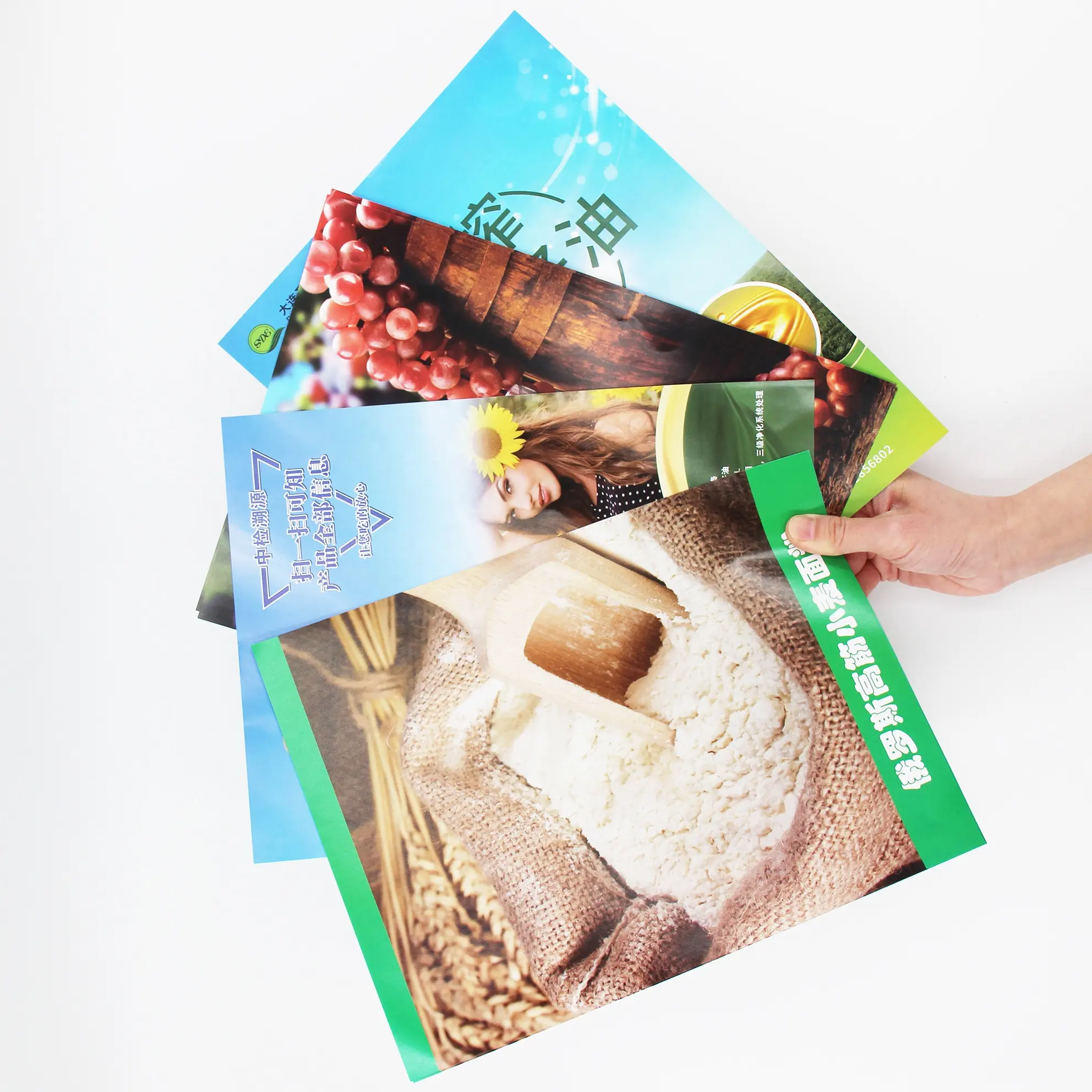 Benutzer definierte Vollfarbdruck-Flyer für die Lebensmittel werbung Doppelseitige Druck broschüren für Unternehmen