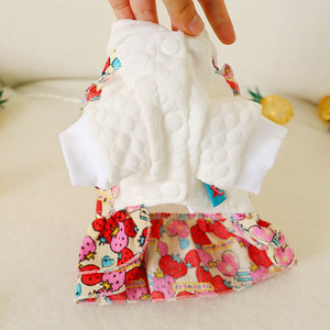 2019 האחרון לחיות מחמד אלגנטי היא ילדה כלב בגדים לחיות מחמד כלב סתיו חורף תות ביריות חצאית - Product Image 5