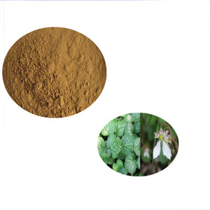 Saxifraga stolonifera Curt polvo de extracto de <span class=keywords><strong>Bergenin</strong></span> 98% - Product Image 1