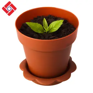 Oem Custom Plastic Dessert Decorative Ice Cream Flower Cups With Lid、Plant Pot