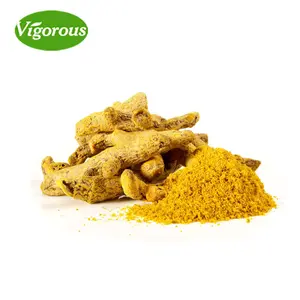 Natural colorant curcuma longa turmeric powder CNvigoroustech 95% Curcumin herbal Extract