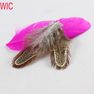 Bán buôn Guinea Hen Lông - Product Image 4