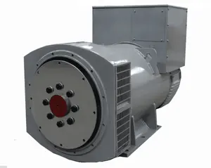 300kw trifase Generatore Sincrono AC 220 v
