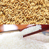 Prix de la petite machine à décortiquer le riz moderne