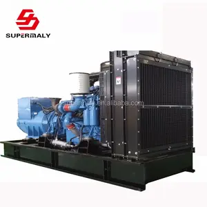 10KW/12.5KVA CE/ISO Diesel Generator Set met beroemde motor en alternator