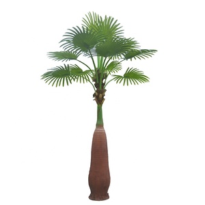 Pas cher prix total 400cm hauteur grand artificiel bouteille <span class=keywords><strong>forme</strong></span> échelle modèle <span class=keywords><strong>palmier</strong></span> pour la <span class=keywords><strong>d</strong></span>écoration <span class=keywords><strong>d</strong></span>'intérieur - Product Image 1