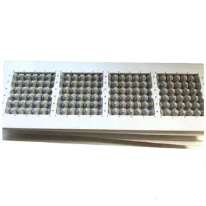 Eierkarton Mallen Aluminium Eierbak Mallen Plastic Doos Voertuig Mal Plastic Bakjes Maken Machine Plastic Cnc Mal Machines