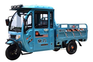 CHANGLI sepeda roda tiga kargo listrik, untuk dewasa terbuka 1000W bermotor tiga roda untuk mobil listrik ekonomis dan bergaya