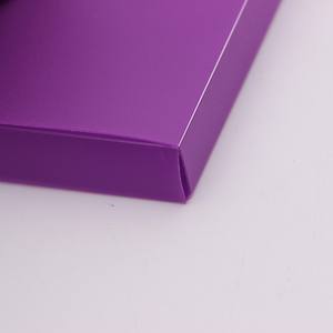 Aangepaste A4 A3 Plastic Document Zak Kleurrijke Pp Pocket Map Met <span class=keywords><strong>String</strong></span> <span class=keywords><strong>Clip</strong></span> - Product Image 5