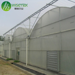 Grande serre à melon à tunnel multi-travée à cadre galvanisé préfabriqué monocouche avec couvercle en PE - Product Image 4