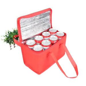 Promotionele goedkope prijs inklapbare draagbare koude hot voedsel levering kleine draagtas lunchbox voor travel camp strand BBQ picknick