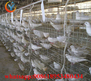 Gabbia per Piccioni in Metallo per l'Arabia Saudita, Gabbia in Rete Metallica per Allevamento e Trasporto di Piccioni - Product Image 4