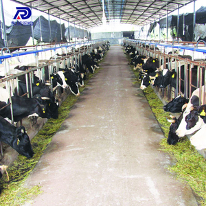 Bestiame Capannone di Disegno Cavallo Stabile Prefabbricata In Acciaio Mucca Fattoria di Costruzione - Product Image 1