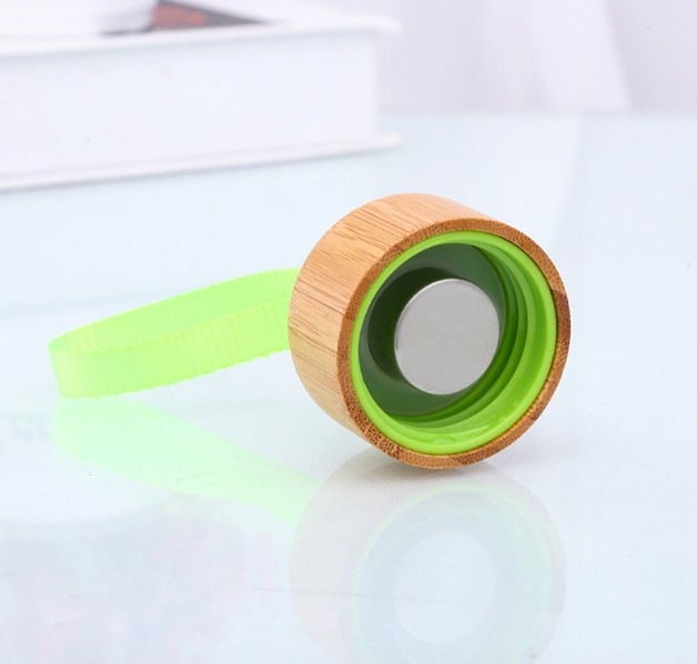 Wholesale High Quality Borosilicate Glass Travel Bottle With Bamboo Lid Glass Sport Water Bottle