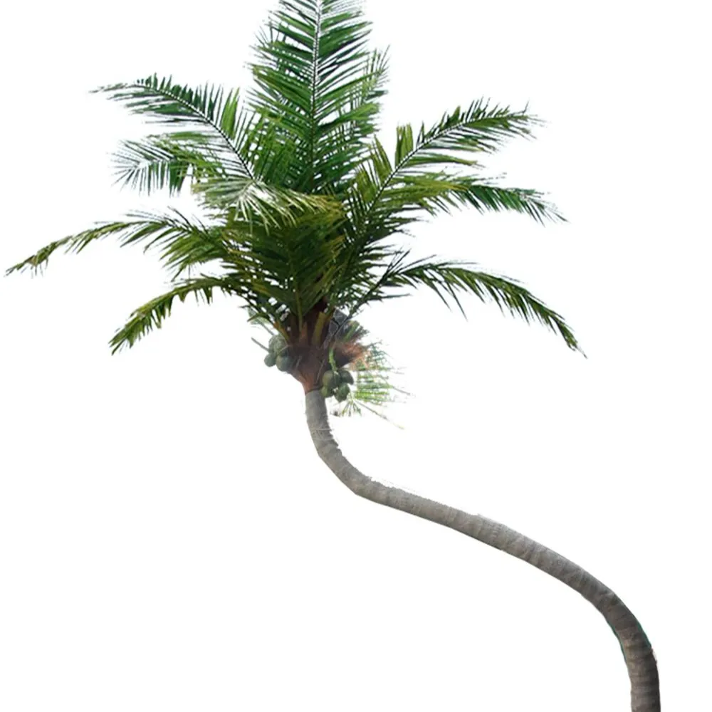 Curve shape artificial coconut palm trees for waterpark or hotel display