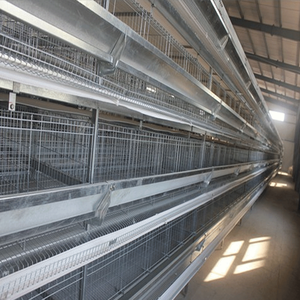 Diseño automático de capa jaulas de pollo comercial <span class=keywords><strong>codorniz</strong></span> capa jaula - Product Image 3