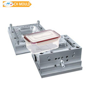 Moldeo por inyección de plástico Fabricación de plomo moldes