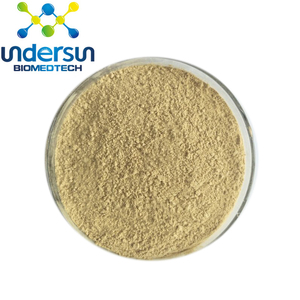 Extrait de Chanca Piedra en poudre d'extrait de <span class=keywords><strong>Shiitake</strong></span> certification casher - Product Image 1