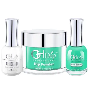 Fast Drying Nail Dip Powder 3 in 1 set color match Gel Polish and Nail Lacquer