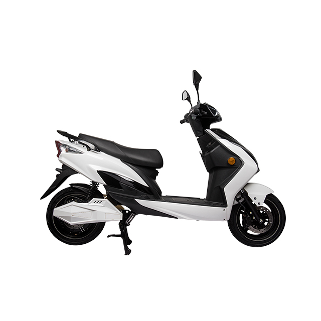 Halley Electric Dual Motor El Scooter