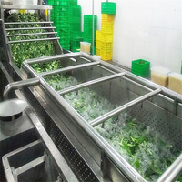 Industriële Verse Groenten En Fruit Reinigings-En Verwerkingsmachines Jujube Wasmachine Met Luchtdroogapparatuur