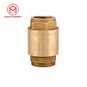 Kiểm Tra Van 3/4 Châu Âu 100% Đồng Thau Với Bộ Lọc Loại Maraca - Product Image 2