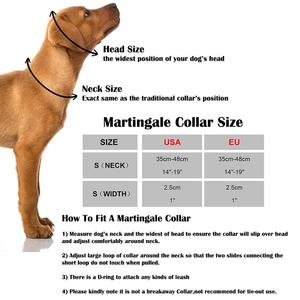 Hersteller Einstellbare Nette Lauf Keine Schnalle Designer Nach Martingale Halsband für <span class=keywords><strong>Greyhound</strong></span> Hund - Product Image 6
