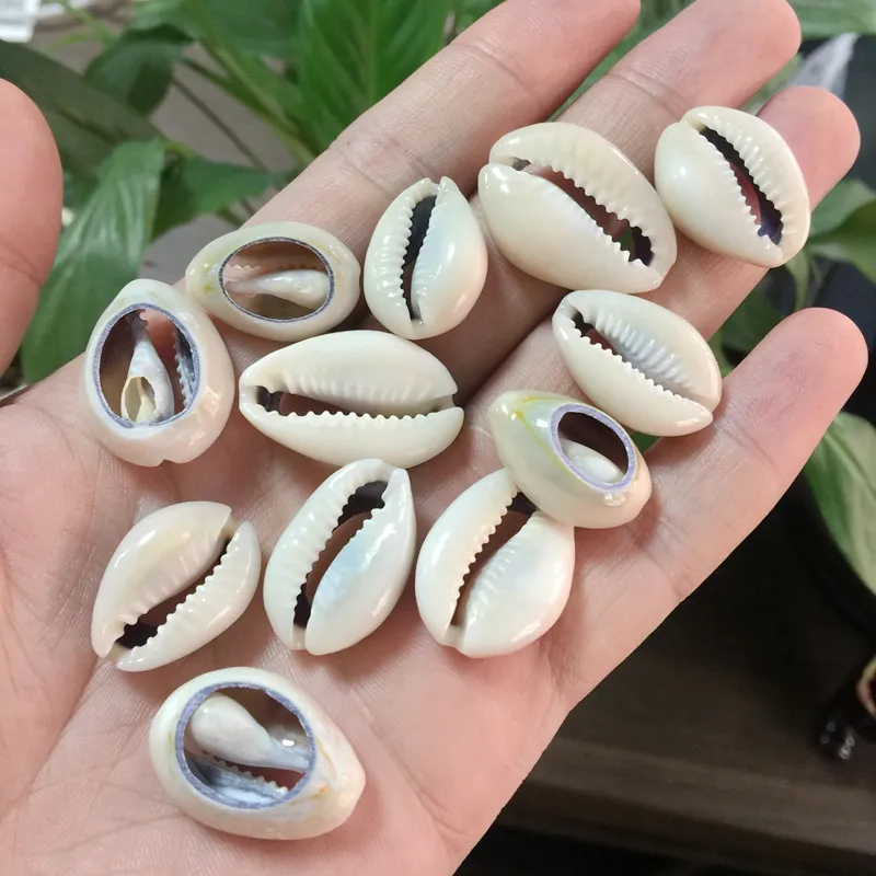 2019 Hot Sell DIY Natural Cowrie Sea Shell Beads MOP Coral No Hole Loose in Pack For DIY Making Jewelry Accessory